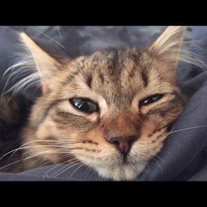 Meet your Posher, Carley